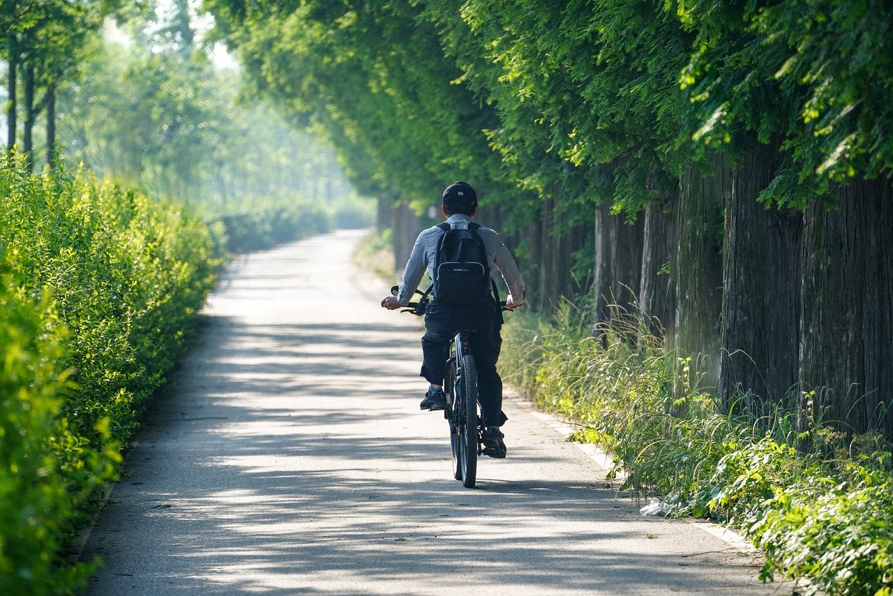 Eine Person auf einem Fahrrad fährt eine Allee entlang.